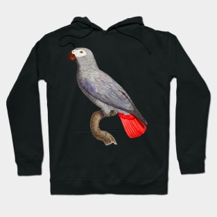 Black Panther Art - Beautiful Parrot 19 Hoodie